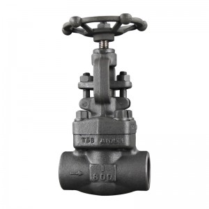 API 602 Globe Valve