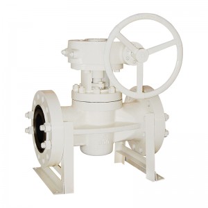 Eccentric Plug Valve