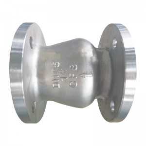 Axial Flow Check Valve